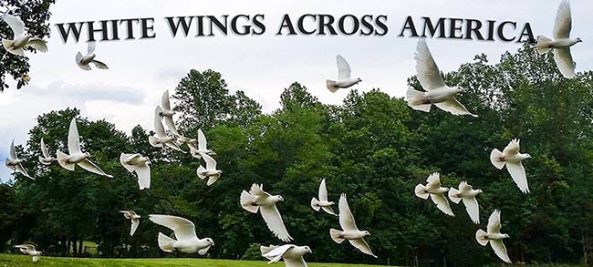 011 dove memorial reseases